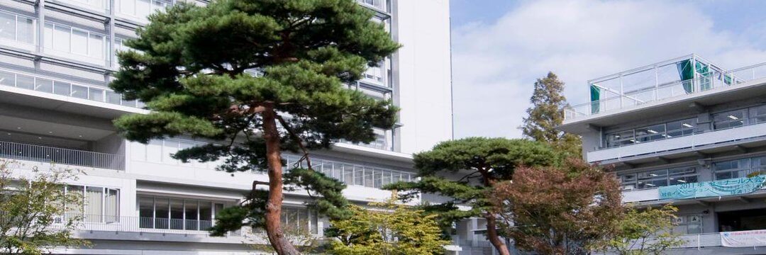 国語編 成城大学の入試対策 オススメ参考書 難関私大専門塾マナビズム