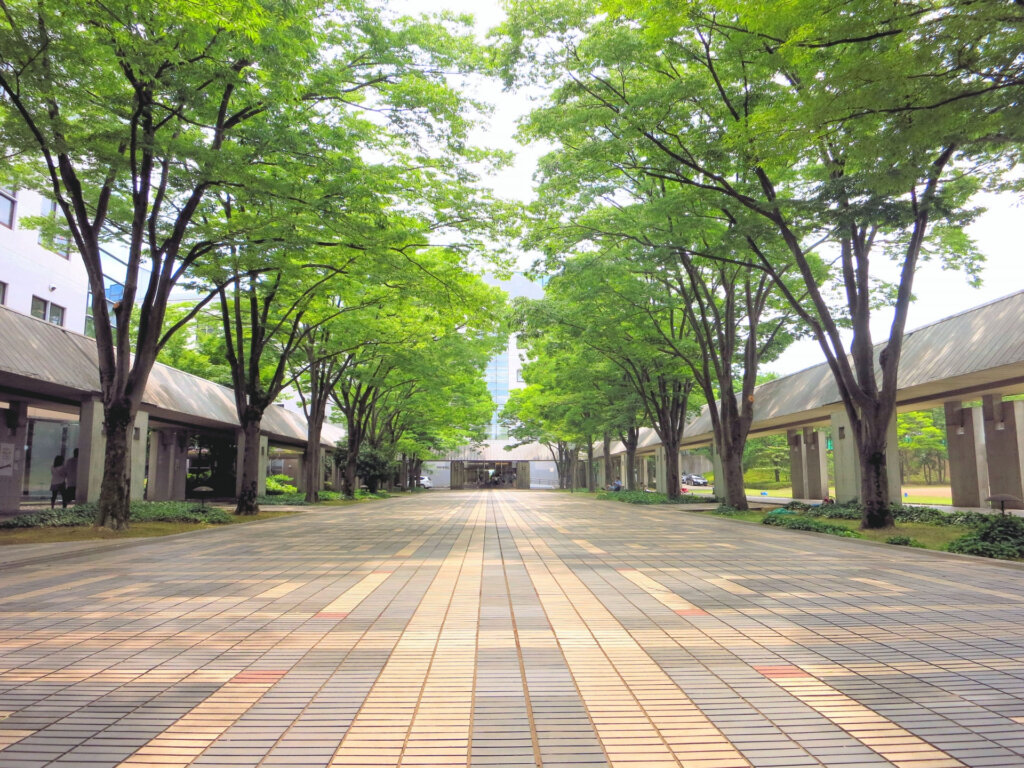 大阪府堺市にある大学をまとめてみた！